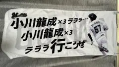 千葉ロッテマリーンズ　小川龍成　応援歌フェイスタオル