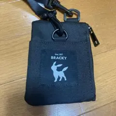 美品　ポケモン パスケース bracky ミニウォレット