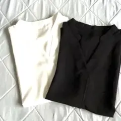 Item thumbnail for item 1b31d937-0712-4adf-82be-f9148a54bfa2