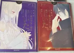 かつて魔法少女と悪は敵対していた。上下巻