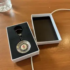 Item thumbnail for item 92860a15-6c09-4111-bec8-07e291631c93