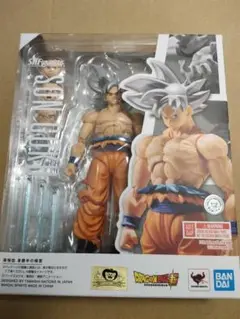 Item thumbnail for item 090e6494-320a-4881-99c2-8acdb5fb3a6e