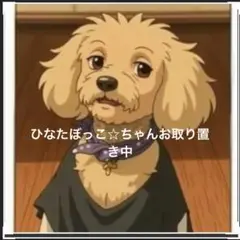 ひなたちゃんご専用