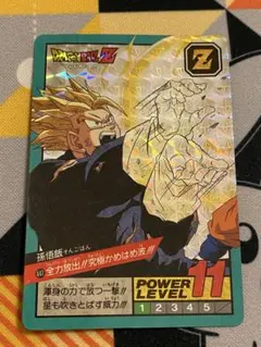 ダブルプリズム　隠し　ドラゴンボールZ スーパーバトルカード 441 孫悟飯