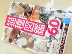 いちばんよくわかる　猫種図鑑