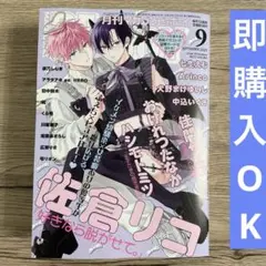 マガジンビーボーイ9号【即購入OK】