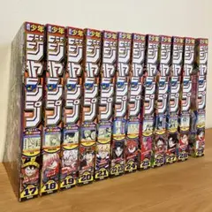 少年ジャンプ 17-29巻 セット 全12冊