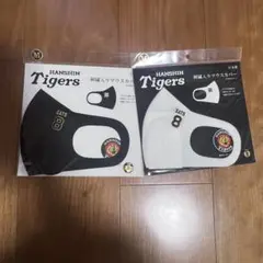 Item thumbnail for item a3aa9111-746e-469d-84e3-984dcca4a9c7