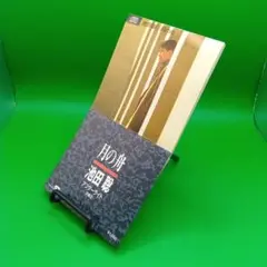 池田聡「月の舟」8cm シングル【特価】未開封 2025年最新】月の舟 池田聡の人気アイテム - メルカリ