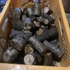 焚き火台用薪広葉樹ミニカット未乾燥30キロ用米袋一袋キャンプ