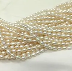 淡水パール　ライス1本売り