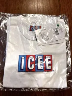 Item thumbnail for item f2550b11-100e-4090-bf6a-ad1403c04a63