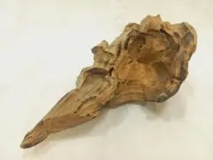 自然な形状の流木　ガーデニングアイテムとして！