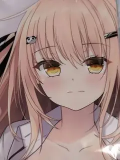 抱き枕カバー　しゃち子