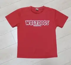 ウルフドックス名古屋　tシャツ