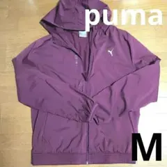 Item thumbnail for item 4a4801bf-895b-46e0-b30a-897be4f5df3f