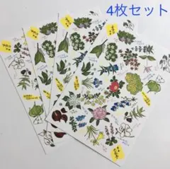 2025年最新】坂本直行さんの人気アイテム - メルカリ