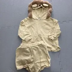 futafuta ライオンフードセットアップ90