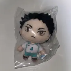 ハイキュー 岩泉一 セガラッキーくじ B賞 ぬいぐるみマスコット