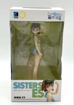 BEACH QUEENS 御坂美琴　御坂妹　ESフィギュアセット BEACH QUEENS 「とある科学の超電磁砲」 御坂妹ES : Accessories
