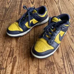NIKE ダンク ロー レトロ ミシガン バーシティ