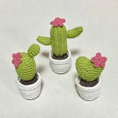 【SALE】あみぐるみ サボテン 3個セット