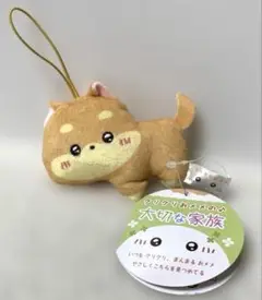 クリクリおメメの♪大切な家族