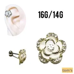 Item thumbnail for item f0a87357-73b4-4d87-99e8-06de3f58e39c