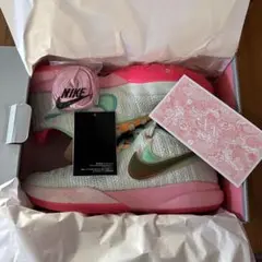 【週末SALE 】NIKE LEBRON XX EP Time Machine