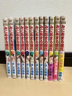 みにあまる彼氏2〜13巻⭐︎ほしの瑞希