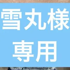 ポケモンカード柄クッション⭐︎リザードンe x