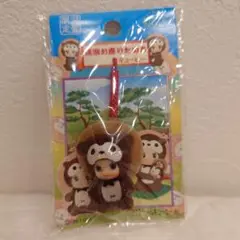 ご当地　キューピー　信楽たぬき　都道府県　レア