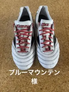 モレリア2JAPAN