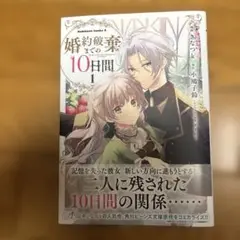 婚約破棄までの10日間 = 10 days until the engagem…