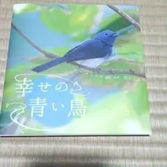 幸せの青い鳥