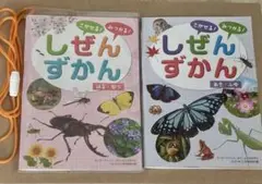 しぜんずかん はる・なつ　2冊セット　幼児向け
