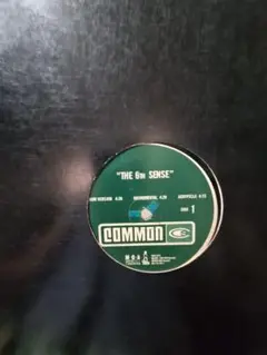 Common/ The 6th Sense ＆ Dooinit