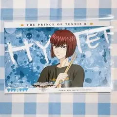 向日岳斗 テニプリスト限定ブロマイド 新テニスの王子様 ベストフェスタ 非売品