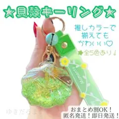 【新品】貝殻　アクリル　キーホルダー　キーリング　推し色