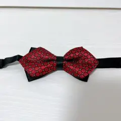 Item thumbnail for item cab39cb5-62cd-45db-8fc5-eabacaee6749