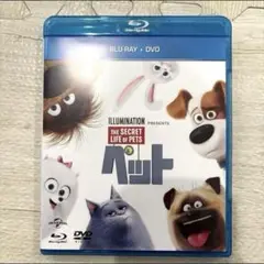 ペット