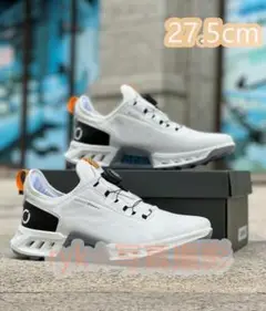 ECCO ゴルフシューズ 27.5cm BOAフィット