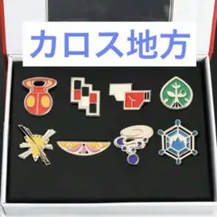 2025年最新】ジムバッジ コンプリートセットの人気アイテム