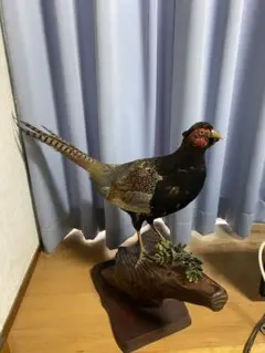 キジオブジェ　高さ60cm