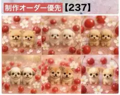 りんごパネル 237番 各1枚