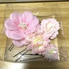 Item thumbnail for item 2095b540-c897-43e2-bf0c-2ea98d5d3f1a