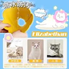 Item thumbnail for item a55e8960-e19a-4cd7-ba7a-0ebd5f690623