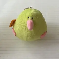 sirocara キーウィ