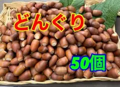 Item thumbnail for item b541858b-e7e3-4ab5-a605-0f3766dac388