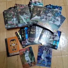 ドリームオーダー セット